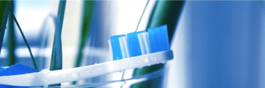 Sabine Schulig-Lohr-2