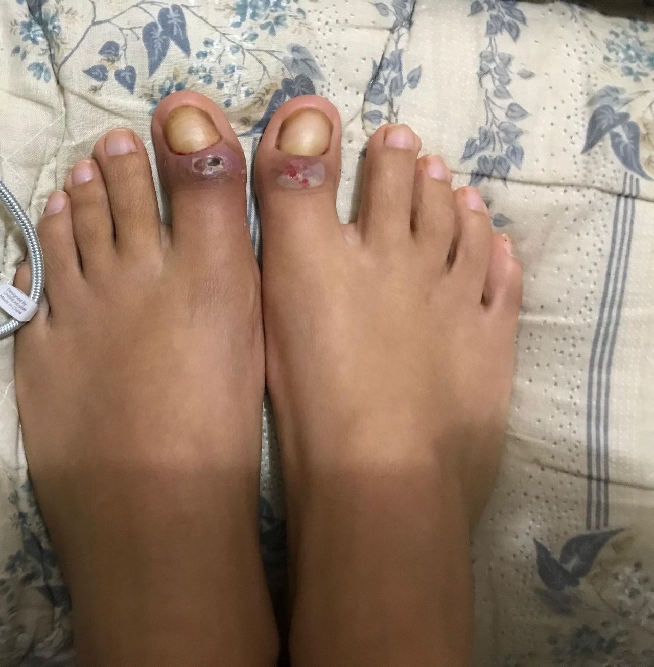 Kassandra Nicolosi-62