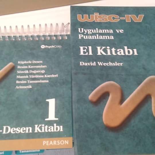 Aynur Şahin Aközel-1