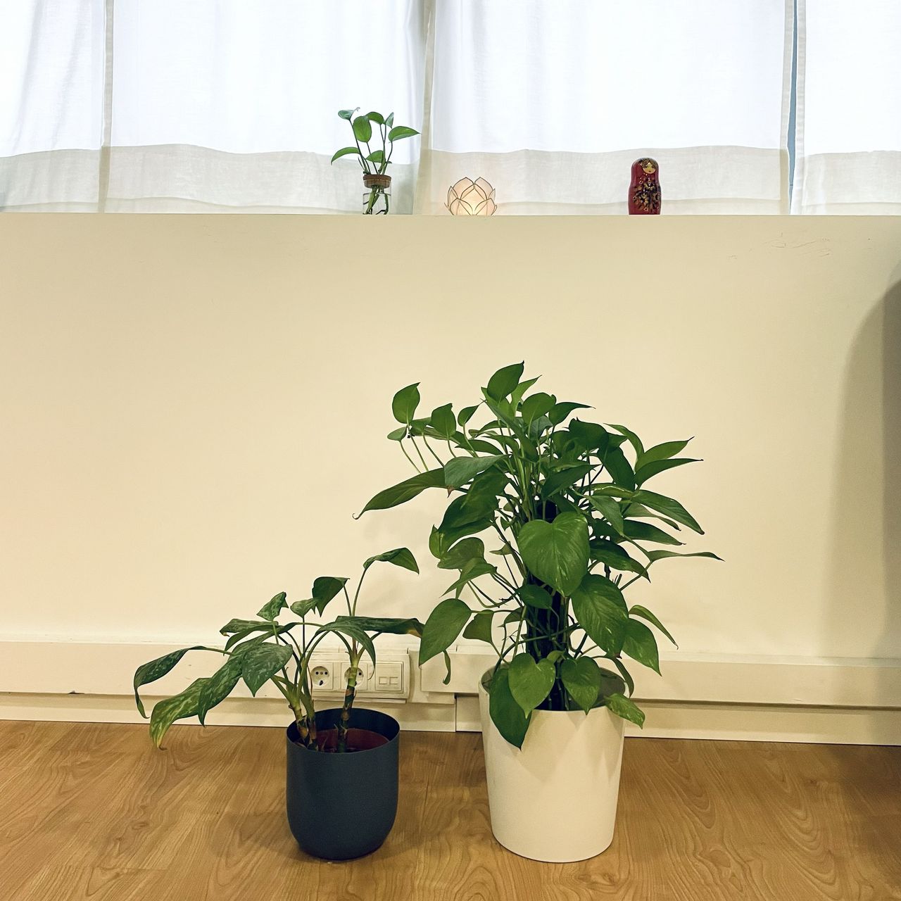 Ainhoa Goenaga Alzuri-8