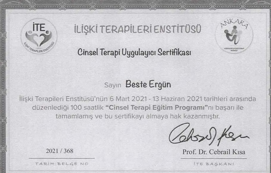 Beste Ergün Özel-15