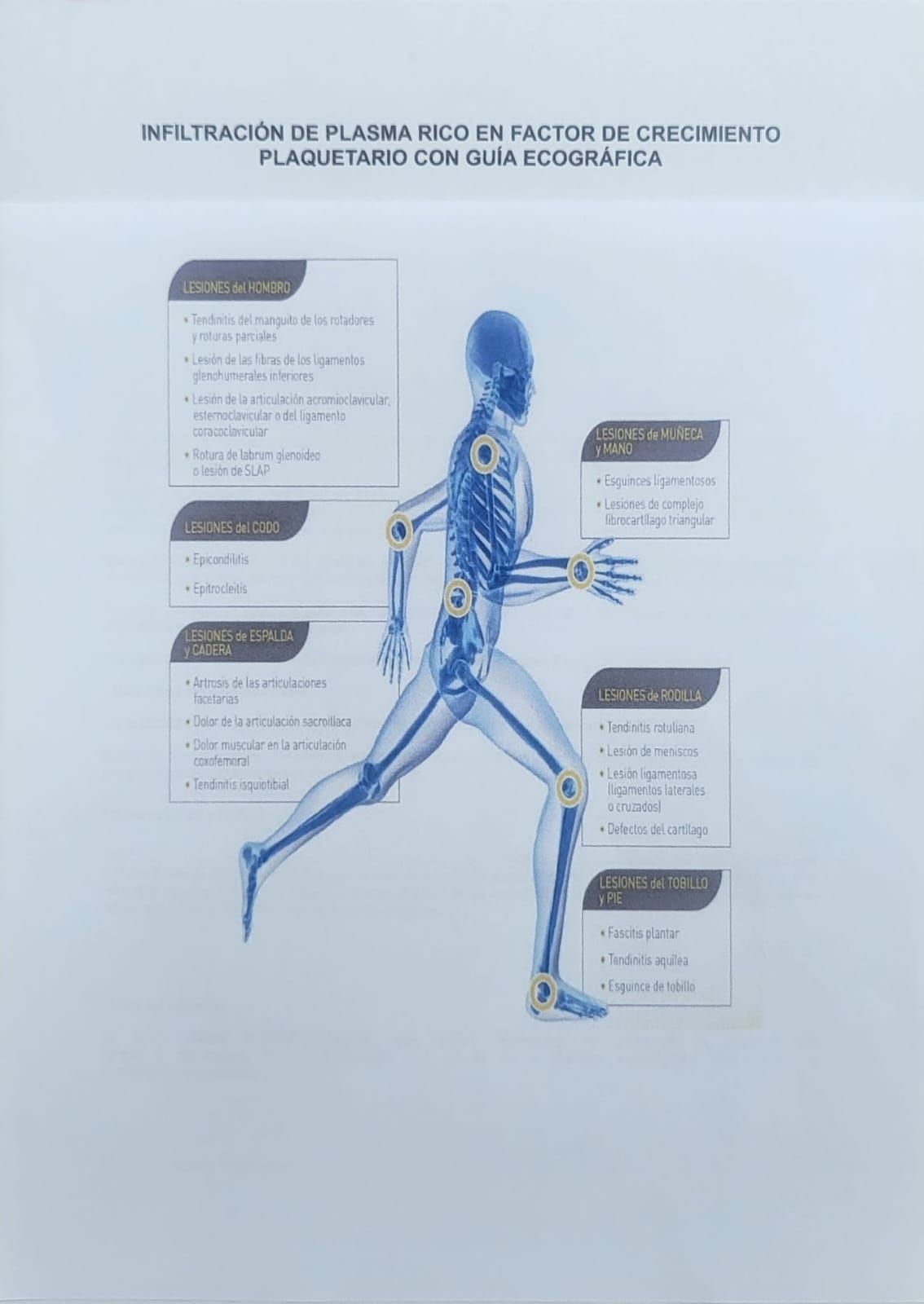 Manuel Floro Loy Vera-3