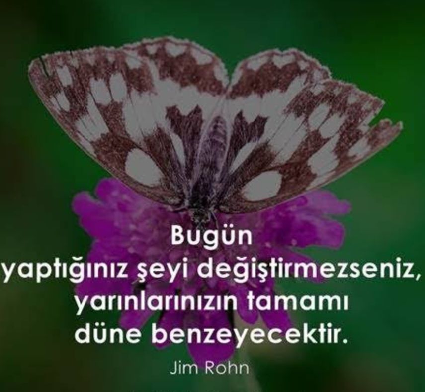 Ayşen Betül Okat-75