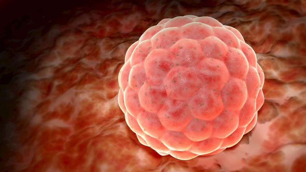 Javier García-Parra Rodríguez-4