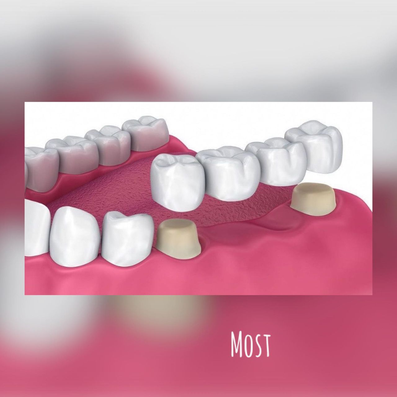 Karolina Anna Kownacka-6