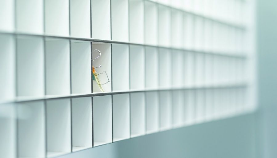 Claudia Jacobs-Müller-5