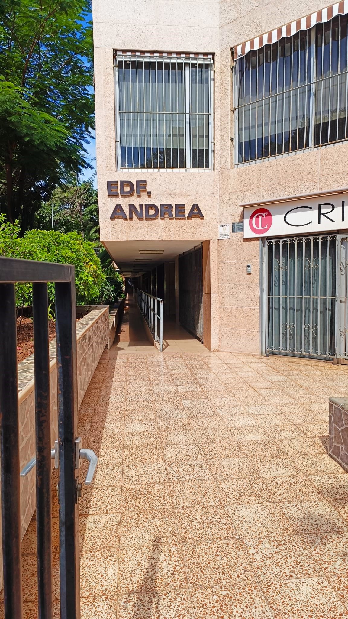 Carolina Rodríguez Berga-4