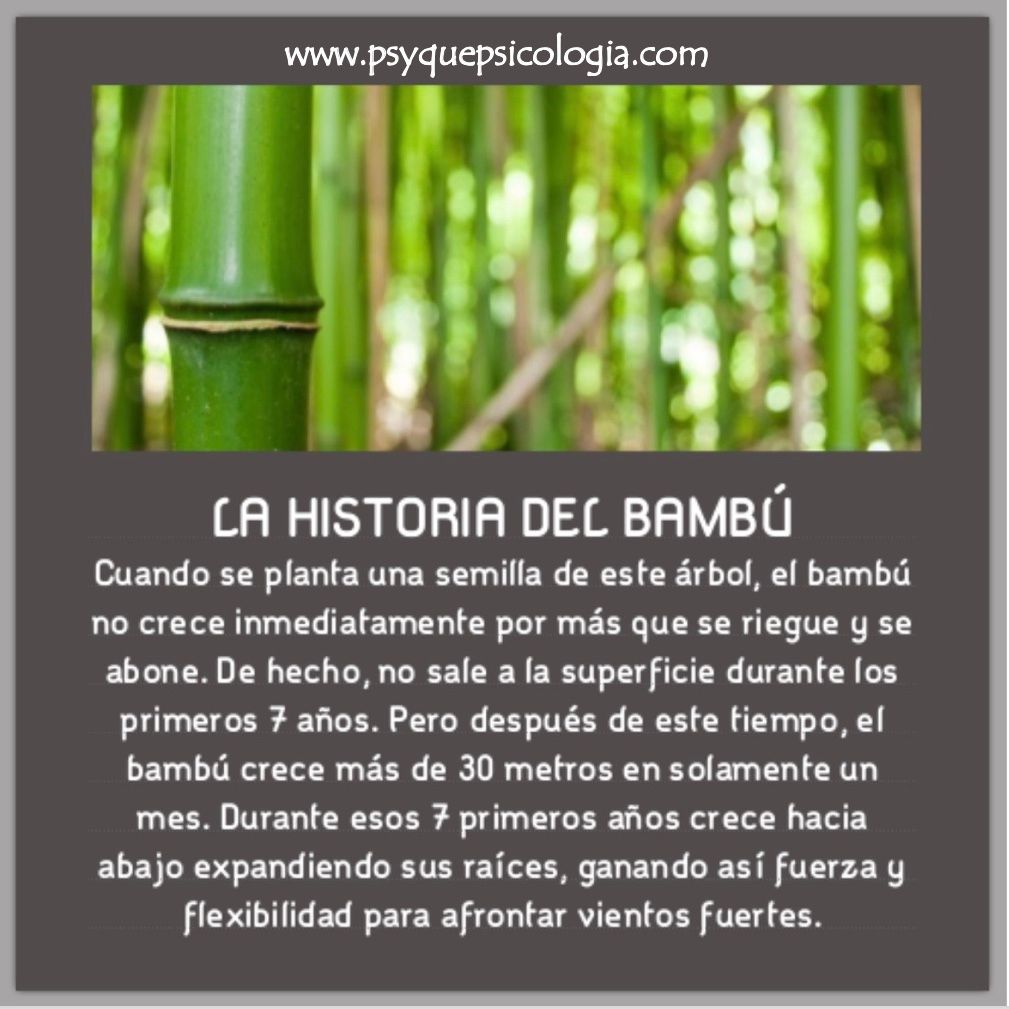 Nika Massoumian Golzar-14