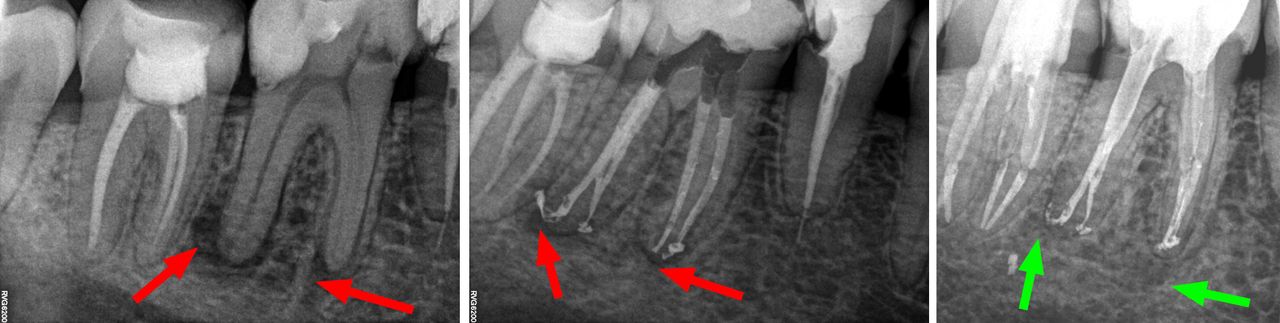 Krzysztof Gończowski-36