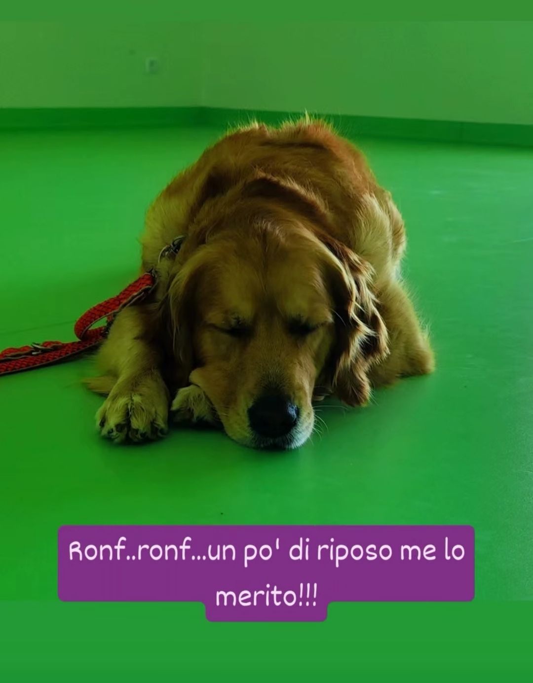 Francesca Archetti-12