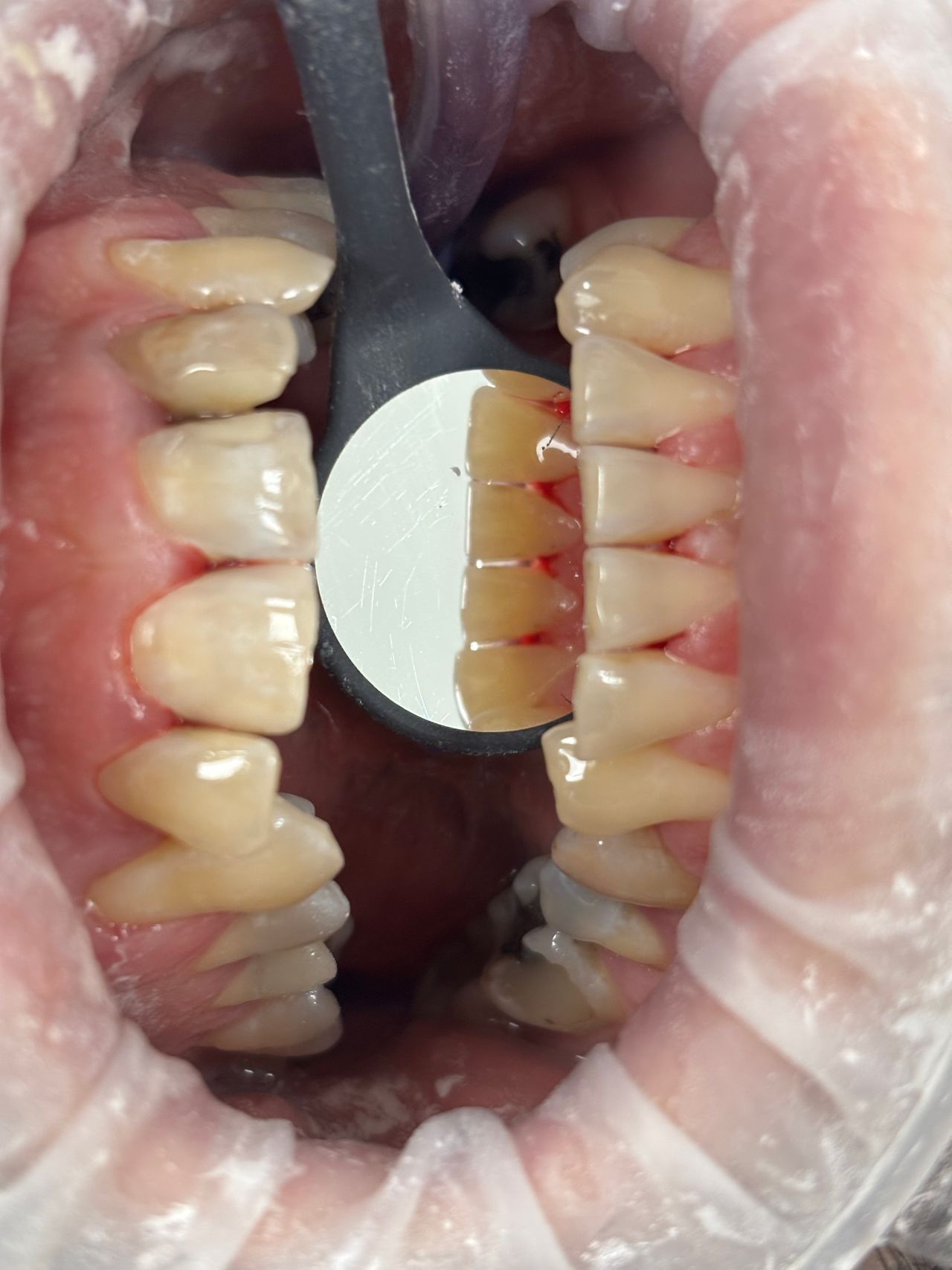 Natalia Skibińska-23