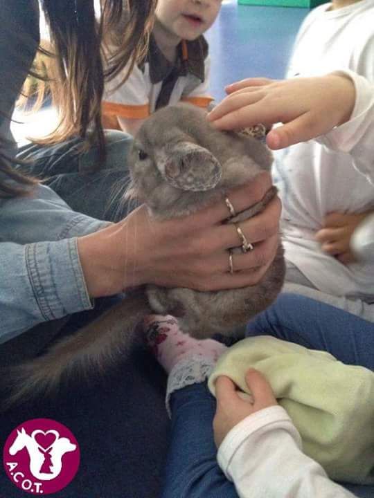 Sonia Sara Civallero-2