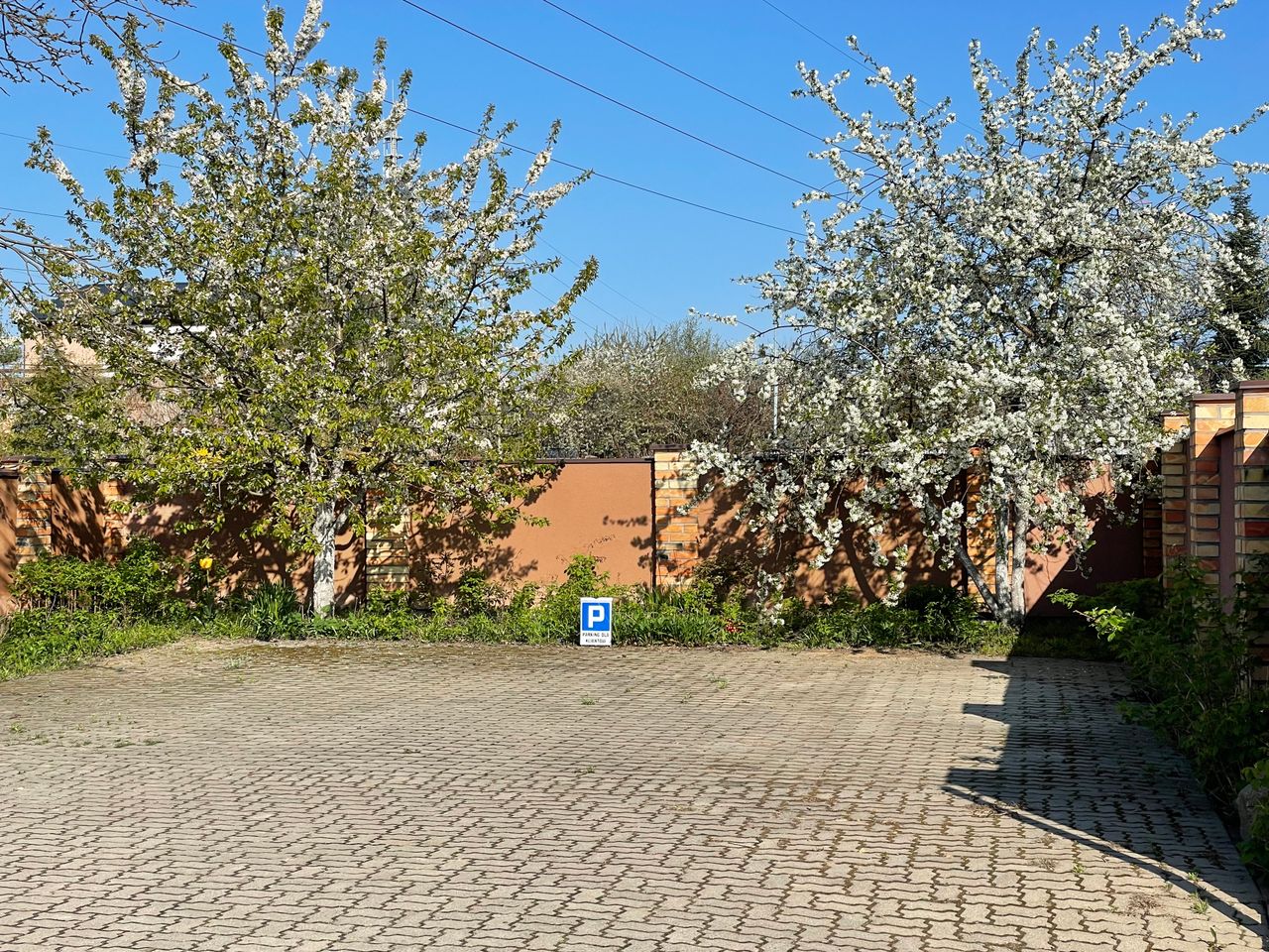 Marzanna Mielnicka-6