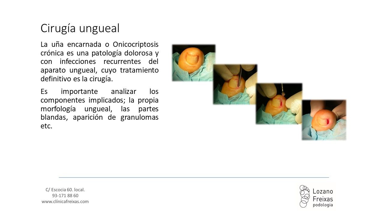 Joan Lozano Freixas-20
