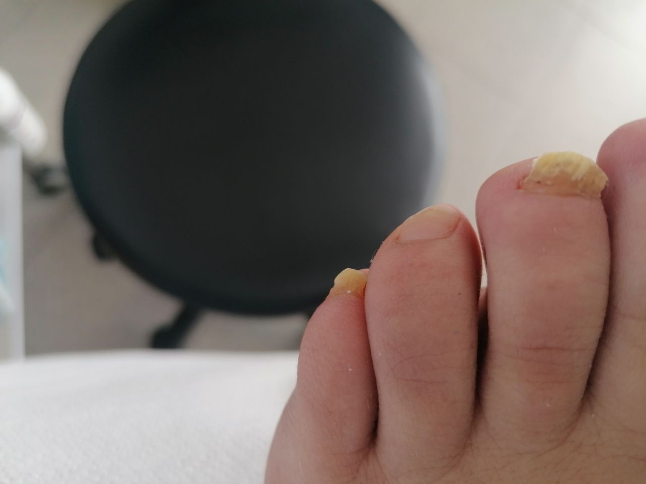 Kassandra Nicolosi-338