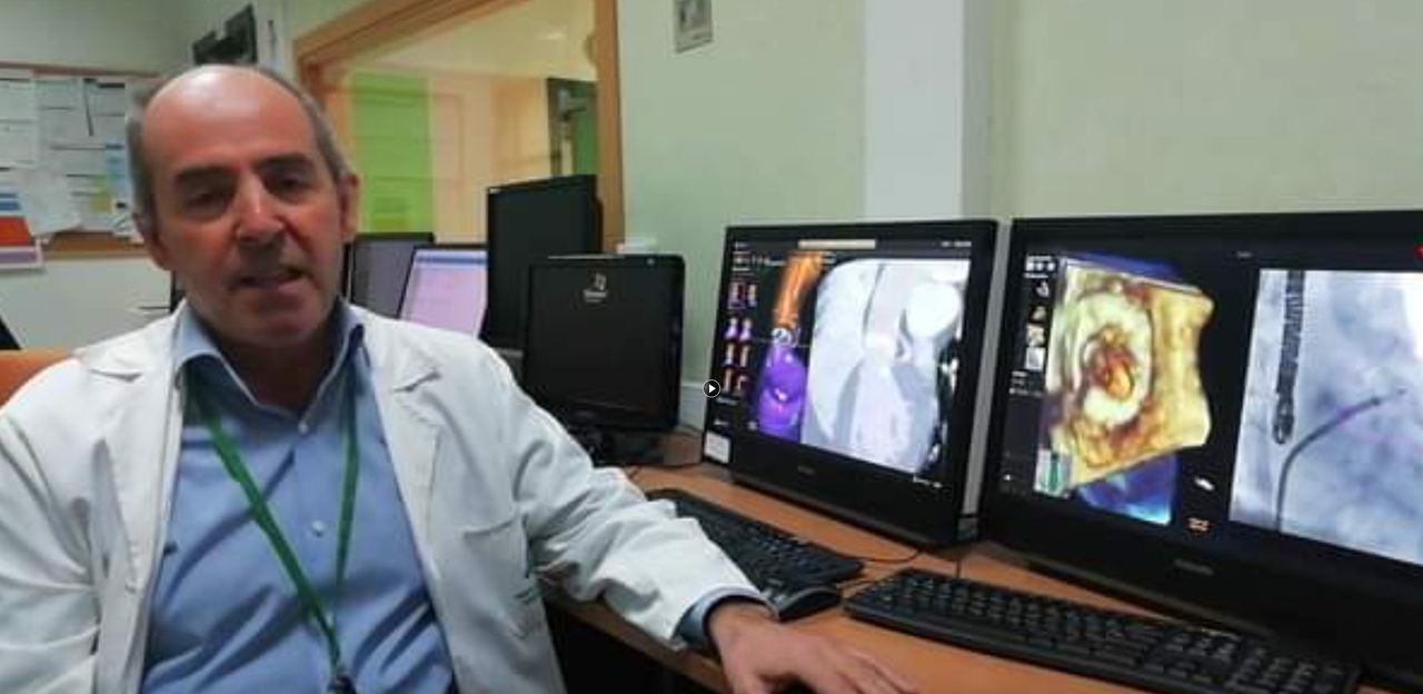 Luis Tercedor Sánchez-8