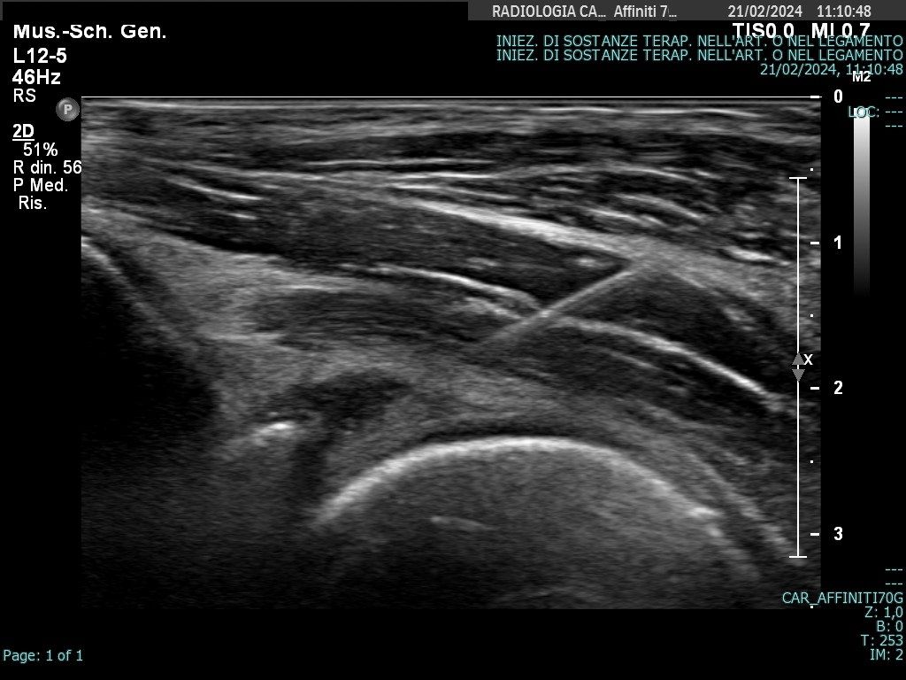 Maria Chiara Morgano-1