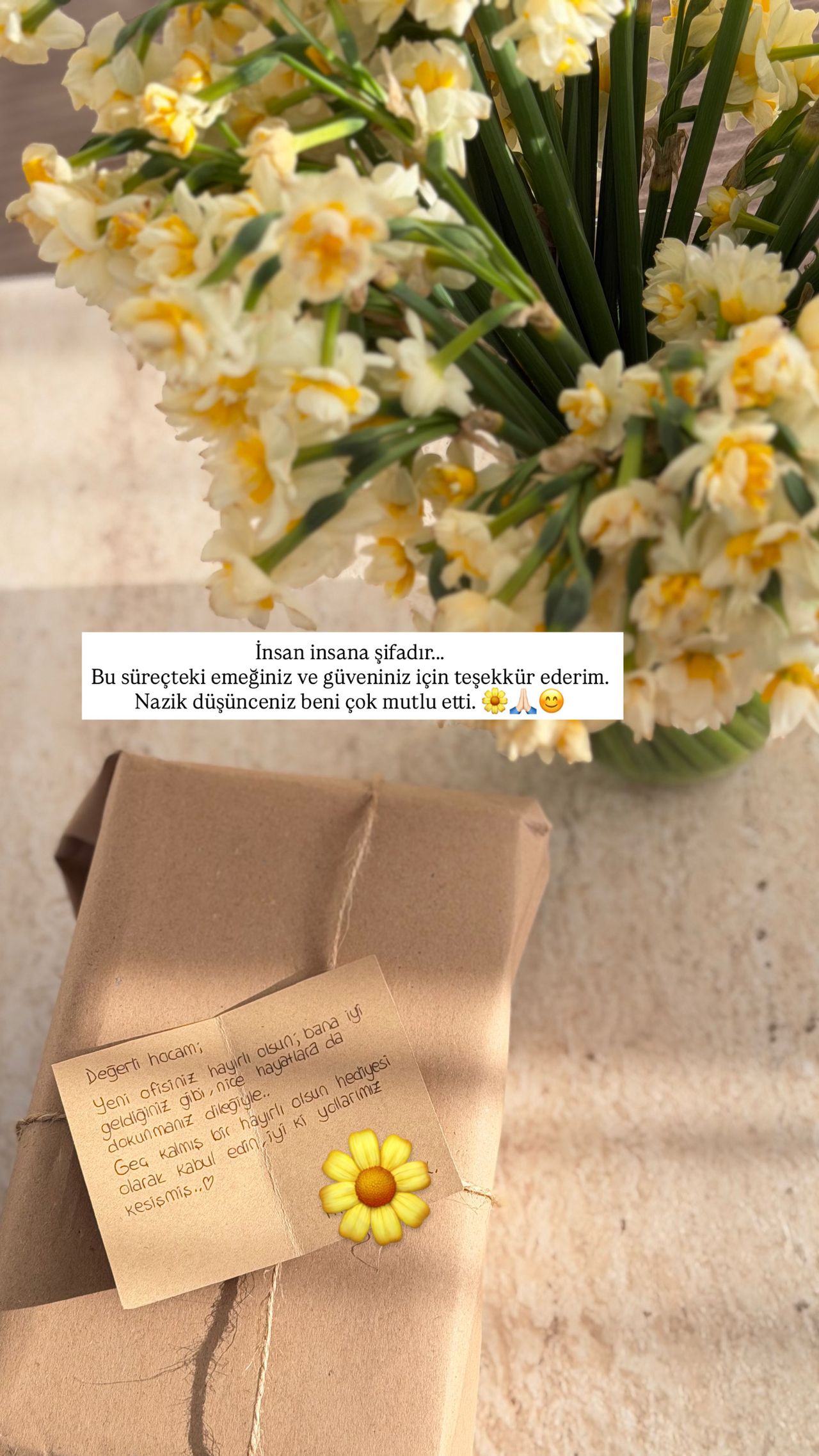 Elif Ünal Tarla-11