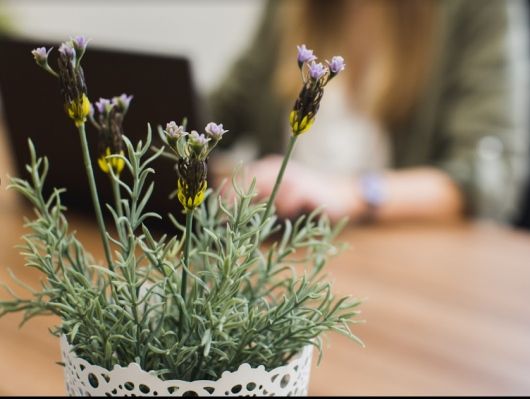 Clara Garcia Giménez-1