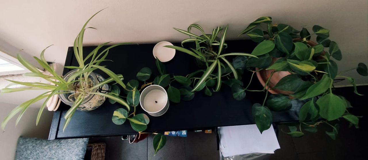 Alessia Pontecorvi-4