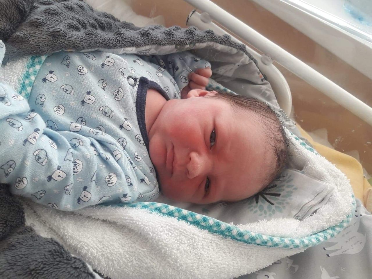 Aleksandra Karakuła-2