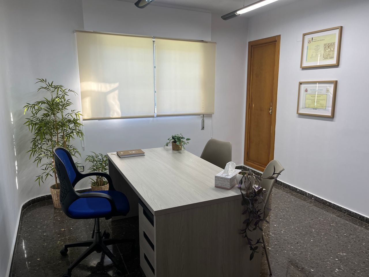 Carmen Camañes Forés-0