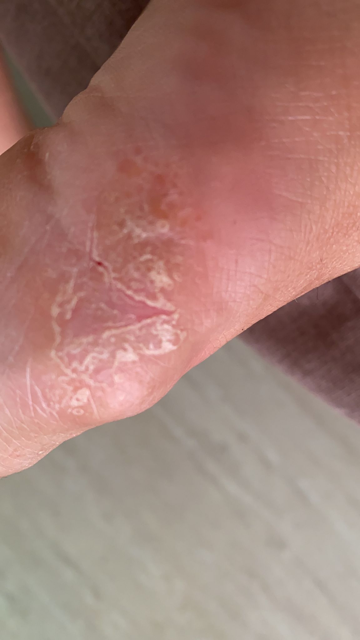 Kassandra Nicolosi-173