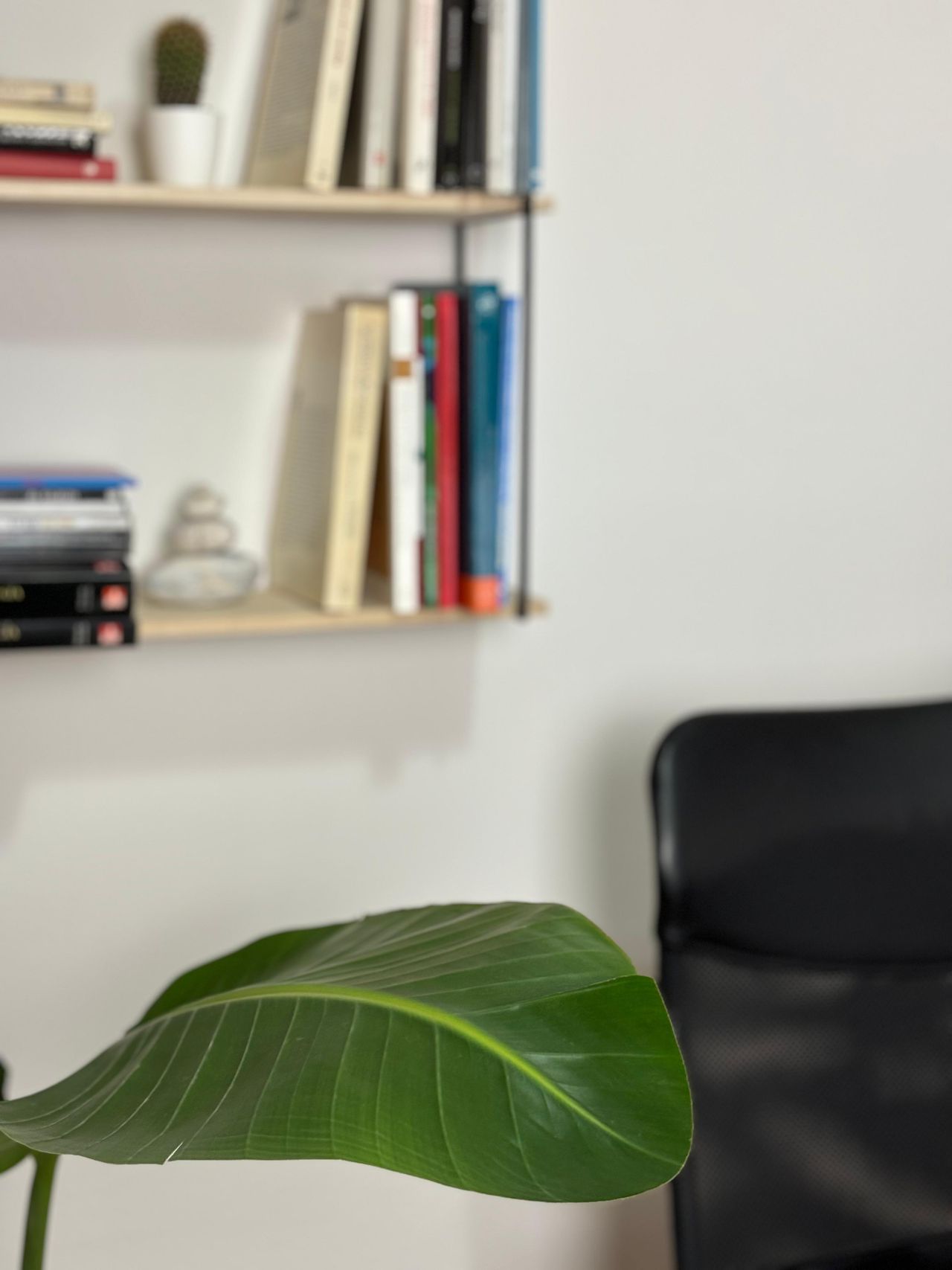 Manuel Vivas Fernández-1