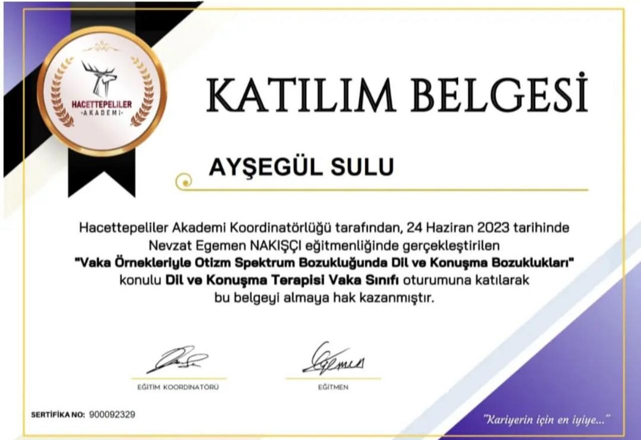 Ayşegül Sulu-8