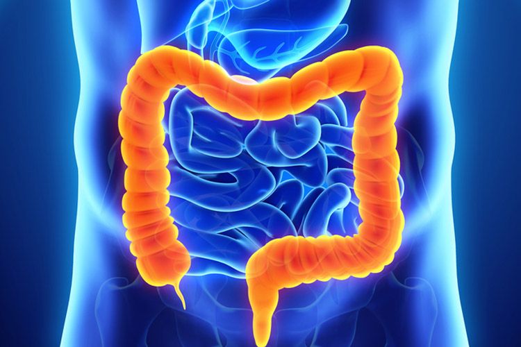 Agenda Santalucia Clinic-4