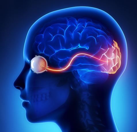 Miguel García Bellón-7