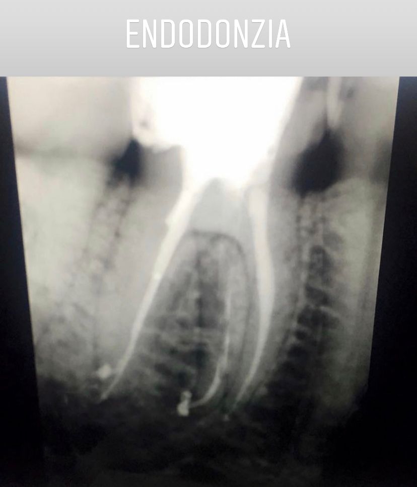 Maria Grazia Diaferia-4