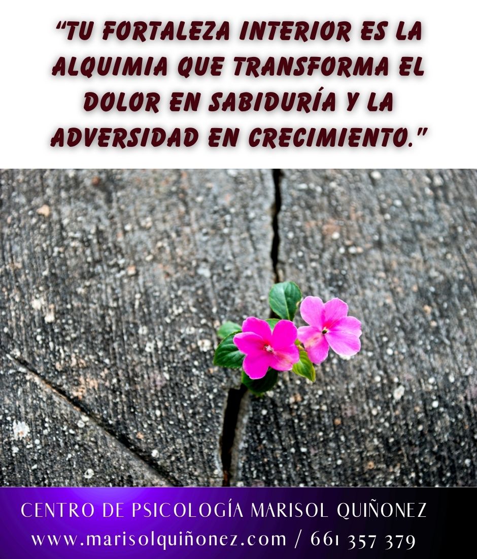 Marisol Quiñonez Quintero-118