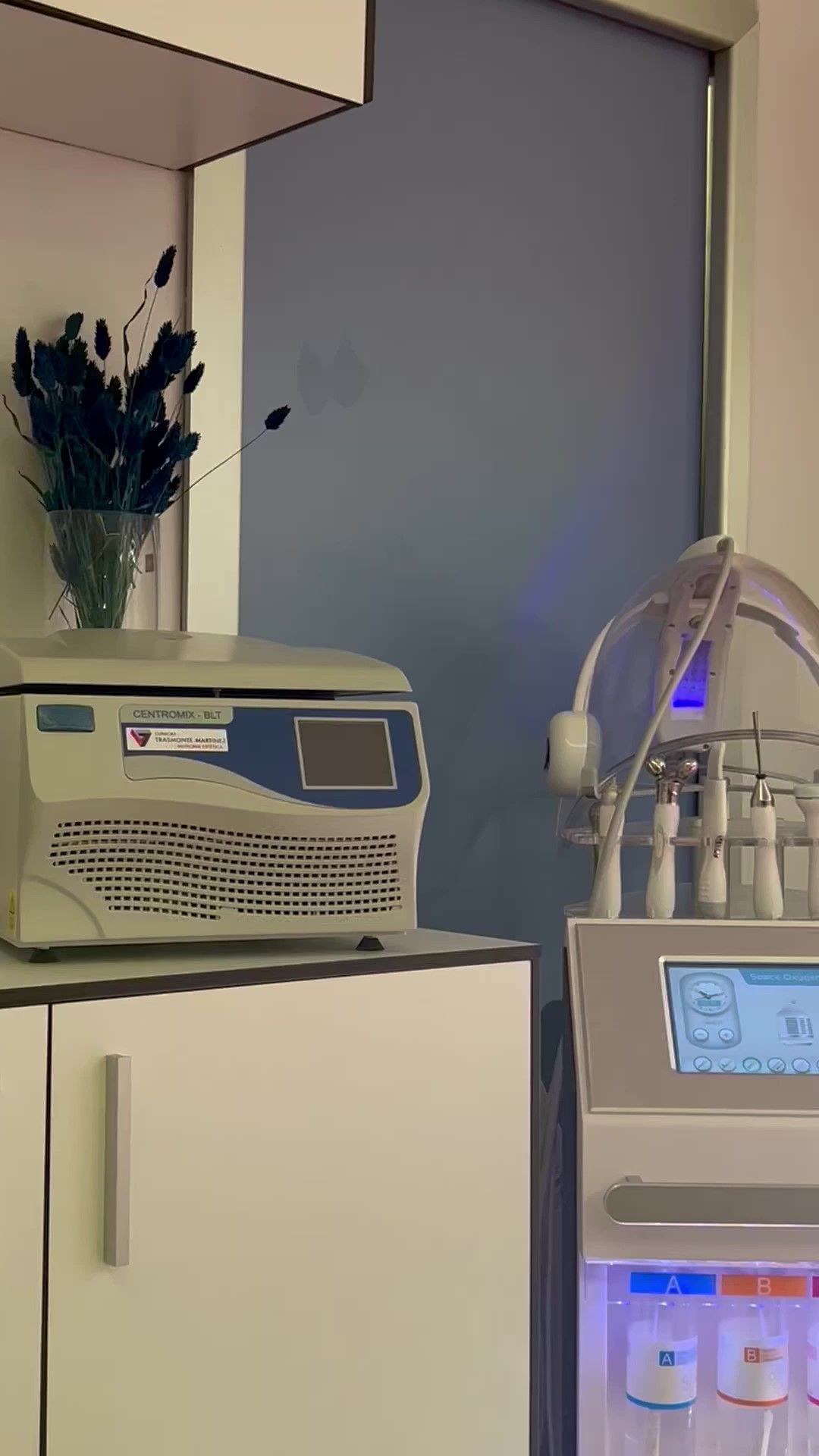 Victoria Trasmonte-32