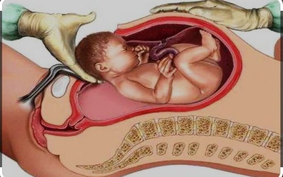 Türkan Saymaz İlhan-7