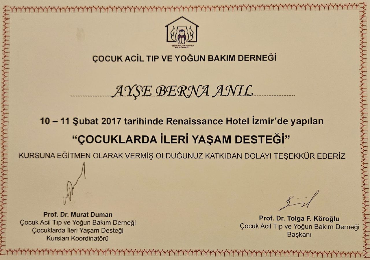 Ayşe Berna Anıl-16