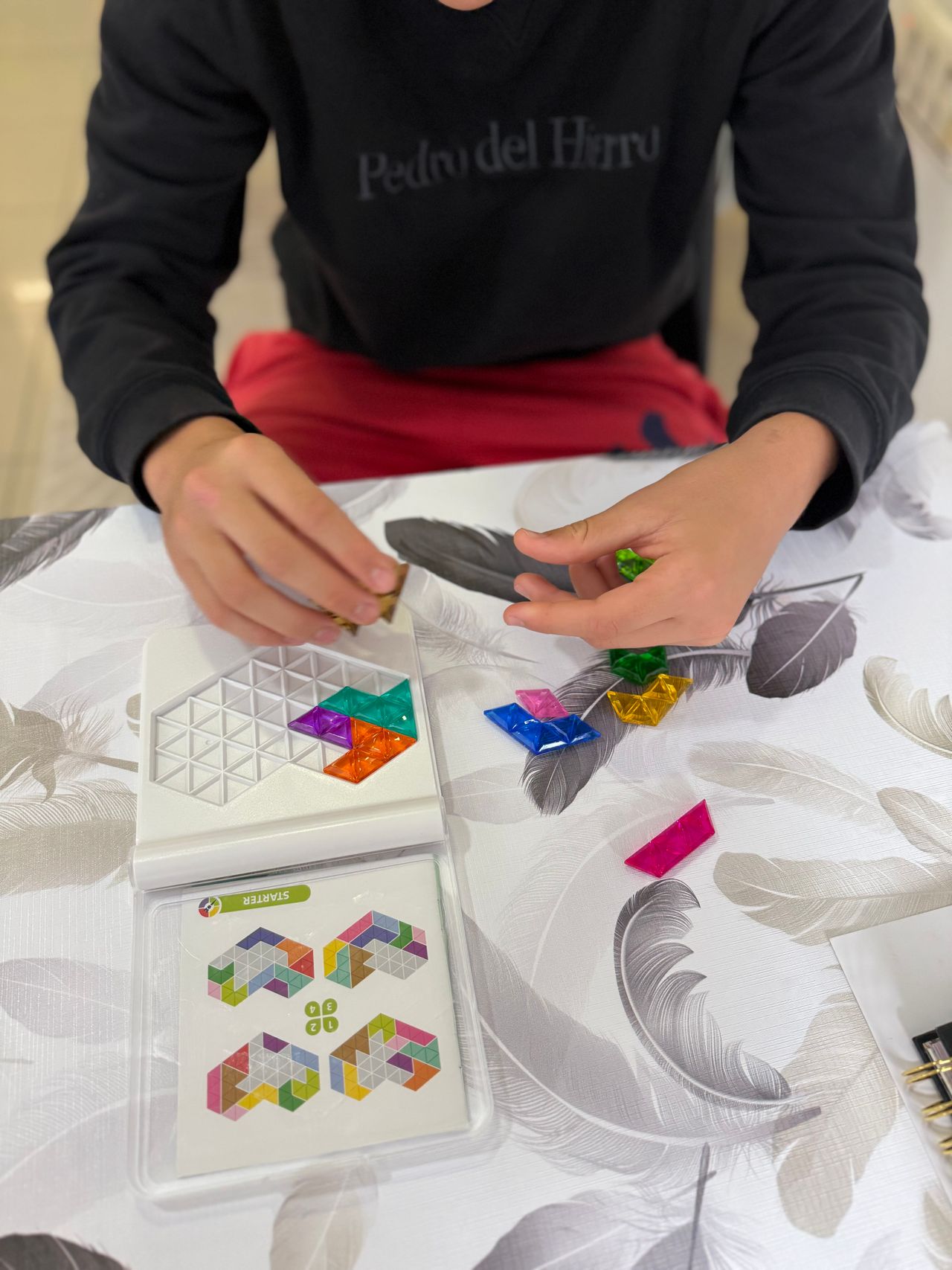 Gara A. Segura Rodríguez-4