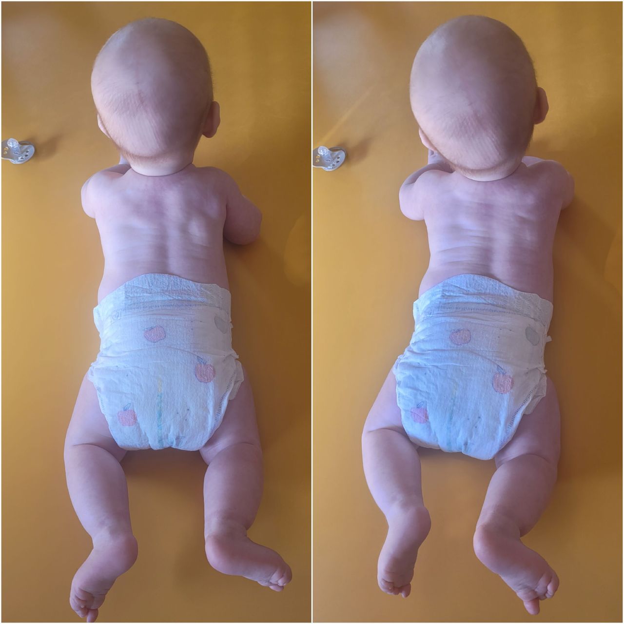 Anna Aleksandrowicz-4