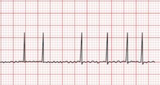 Vincenzo Castiglione-1