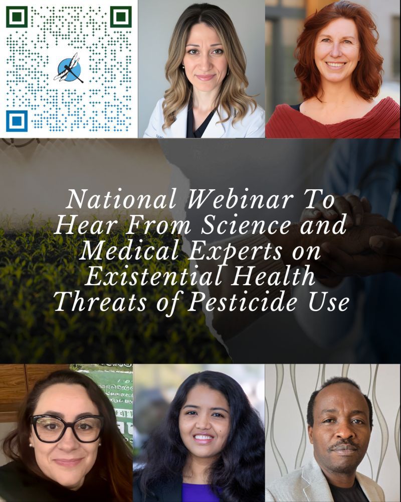 Rossella Cannarella-13