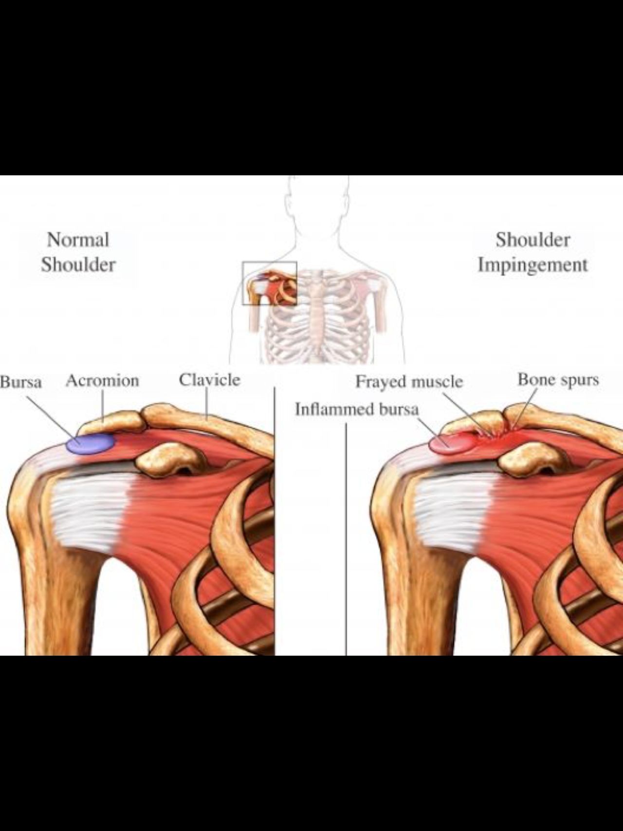 Giuseppe Lombardo-41