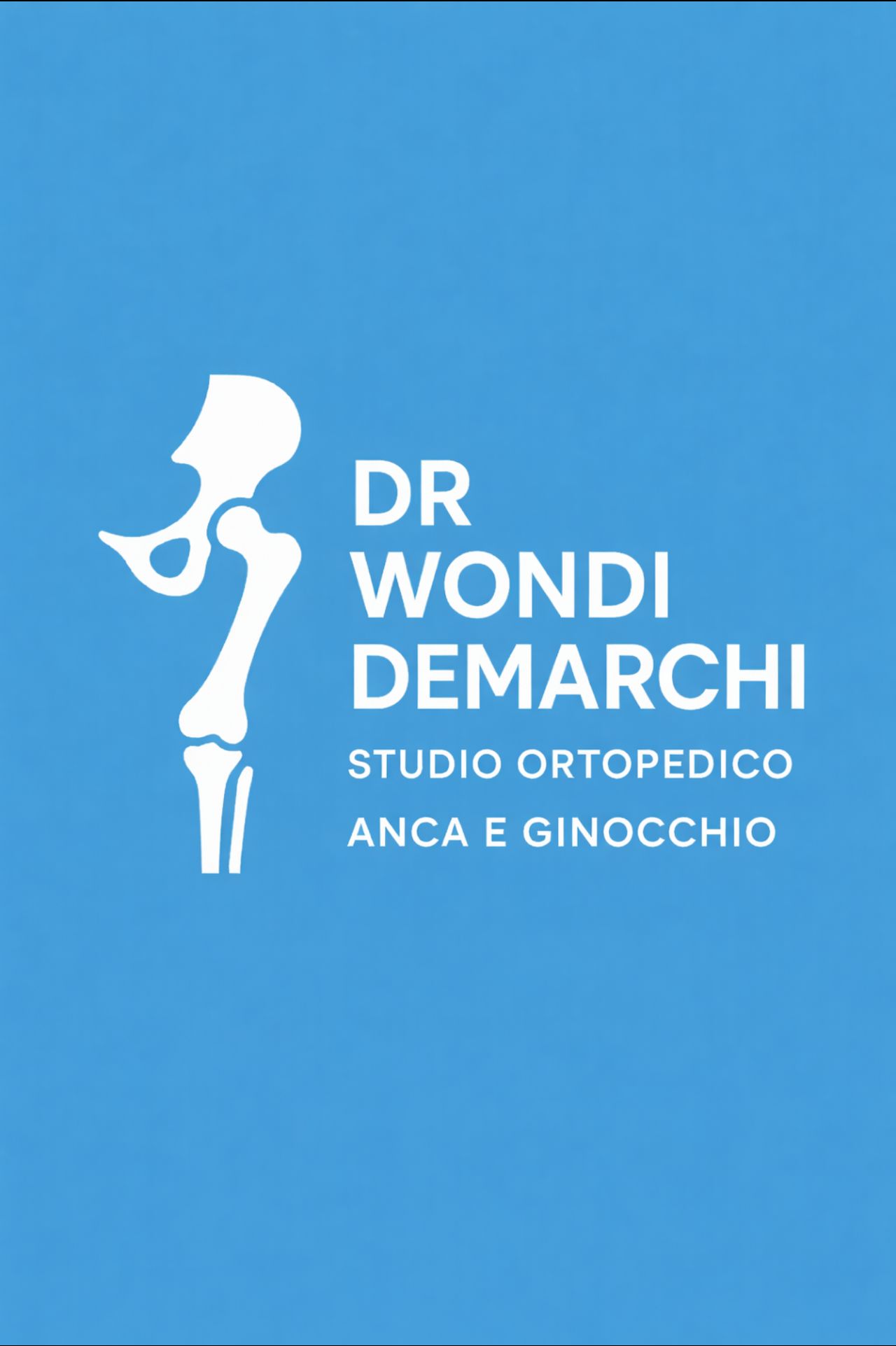 Wondi Demarchi-1