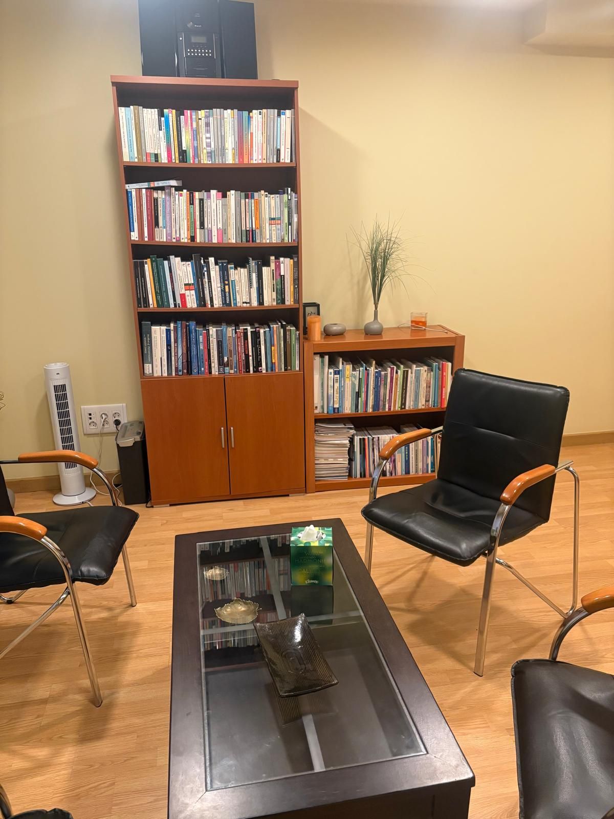 Antonio Olives Alonso-1