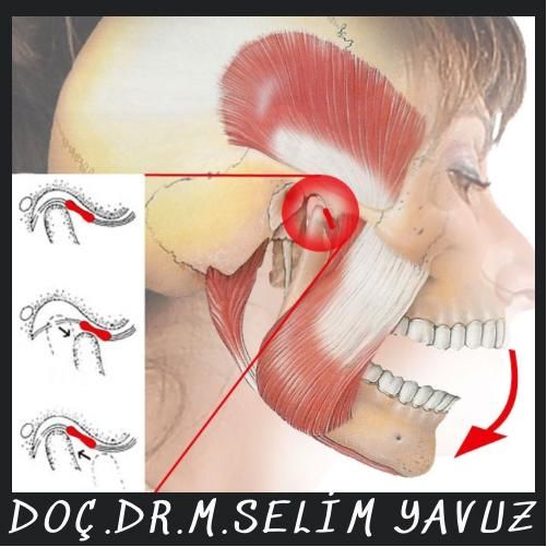 Muhammed Selim Yavuz-2