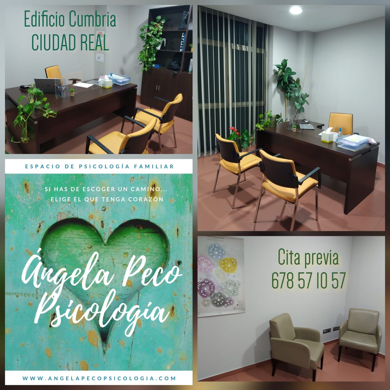 Ángela Mª Peco Peco-0