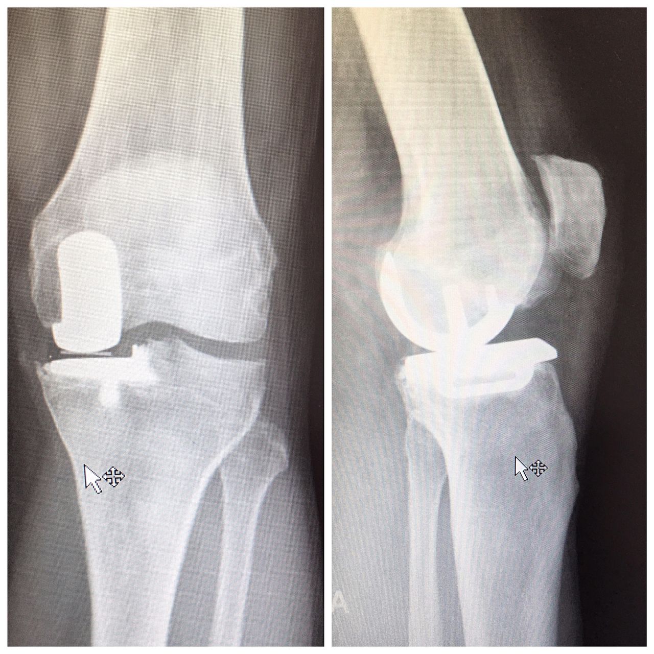 Gonzalo Menéndez Viñuela-6