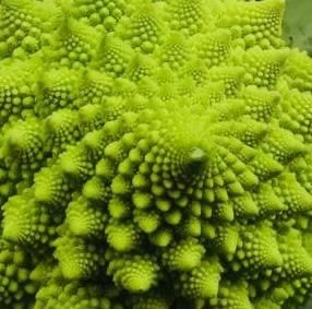 Francesco Sonzogni-96