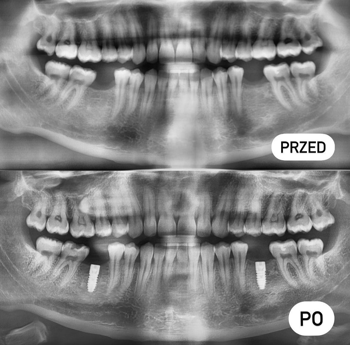Agata Dąbrowska-Adamek-40