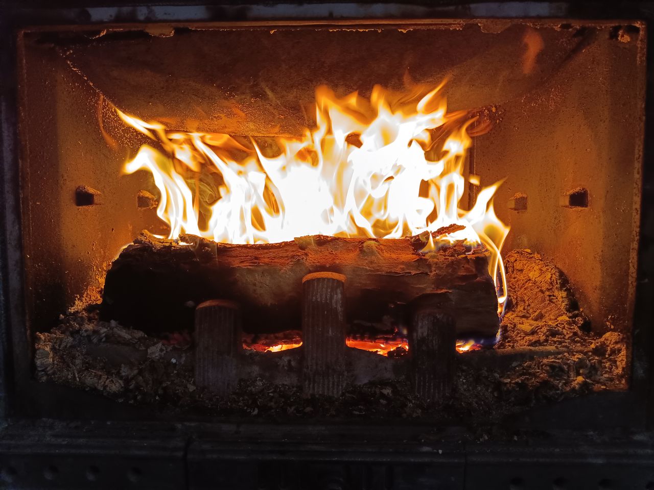 Krzysztof  Adamski-5