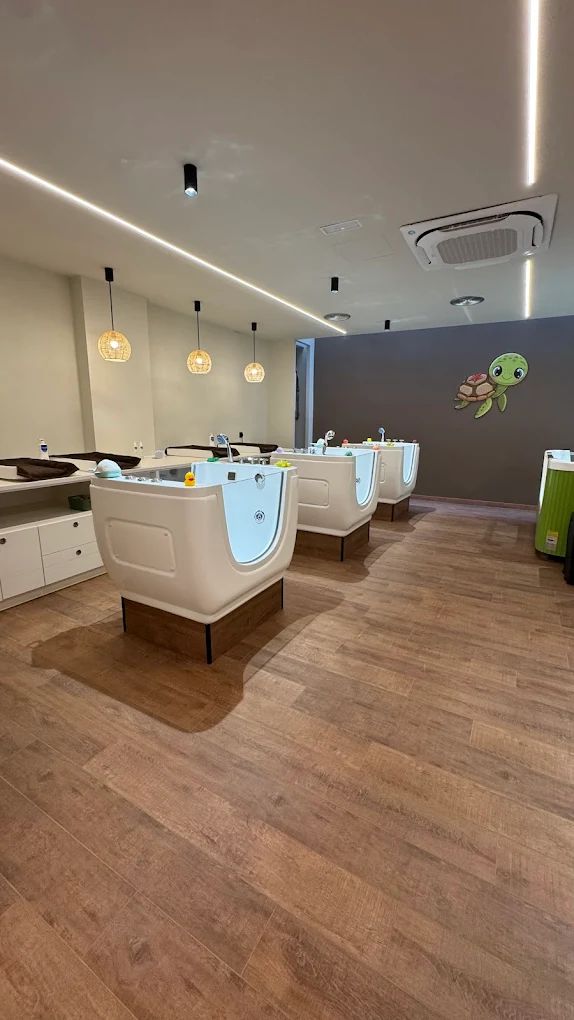 Aina Pannocchia Cruelles-1